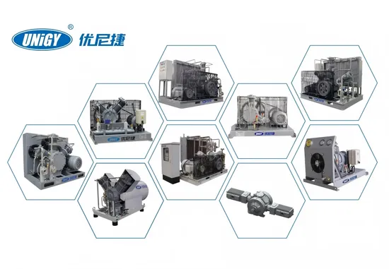 Eco-Friendly Oil-Free Compressor for N2 H2 CO2 CH4 Gas Compressor